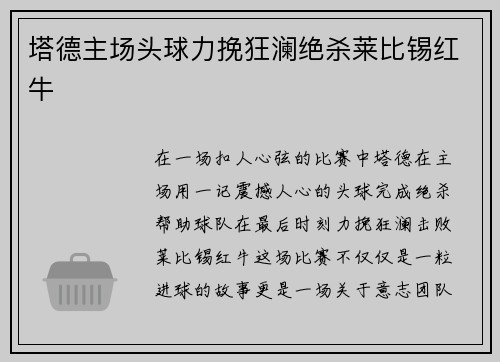 塔德主场头球力挽狂澜绝杀莱比锡红牛 塔德主场头球力挽狂澜绝杀莱比锡红牛