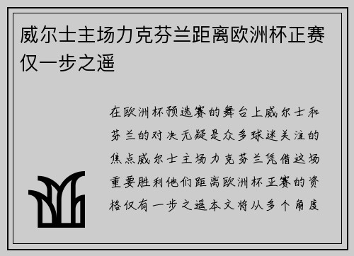 威尔士主场力克芬兰距离欧洲杯正赛仅一步之遥 威尔士主场力克芬兰距离欧洲杯正赛仅一步之遥